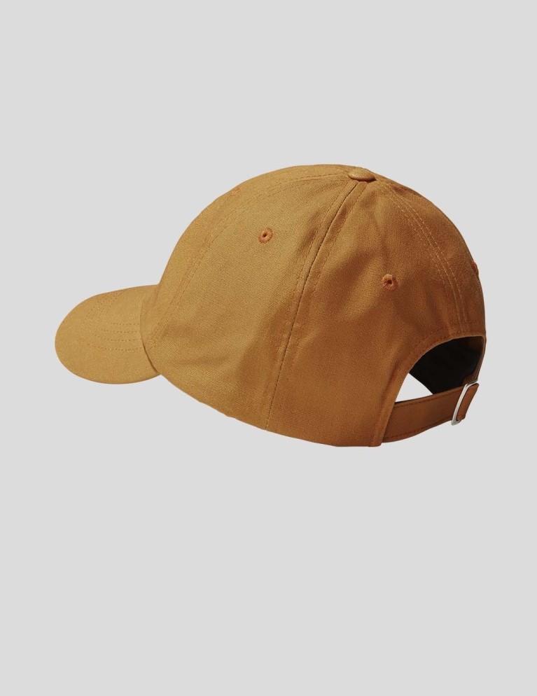 Gorra THE NORTH FACE norm hat almond butter